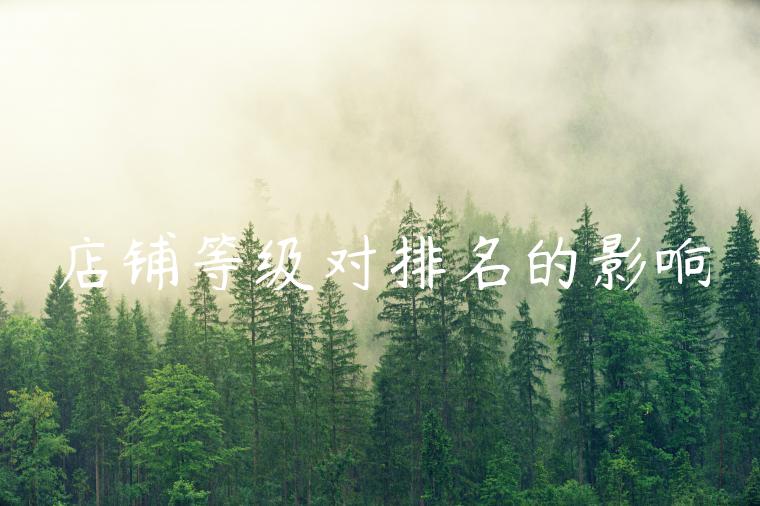 店铺等级对排名的影响 店铺等级对排名的影响