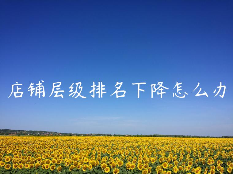 店铺层级排名下降怎么办