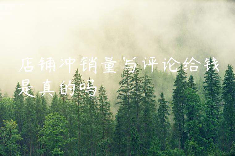 店铺冲销量写评论给钱是真的吗 店铺冲销量写评论给钱是真的吗