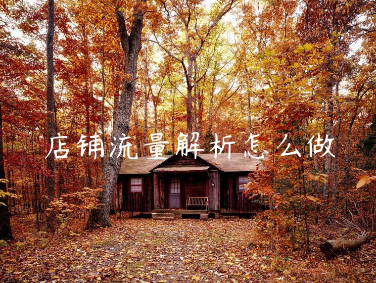 店铺流量解析怎么做 店铺流量解析怎么做