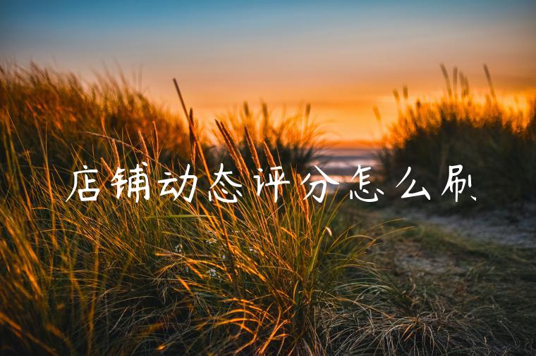 店铺动态评分怎么刷