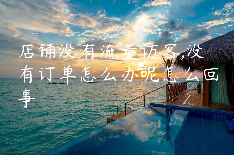 店铺没有流量访客,没有订单怎么办呢怎么回事