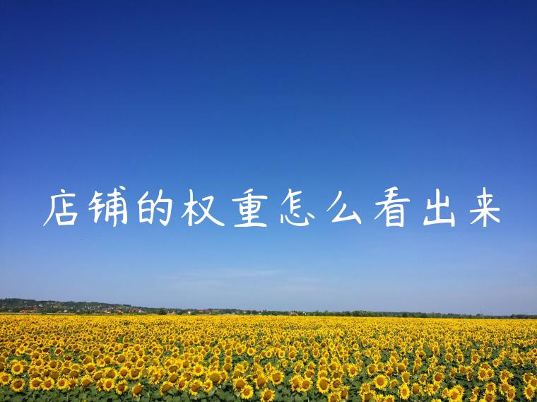 店铺的权重怎么看出来