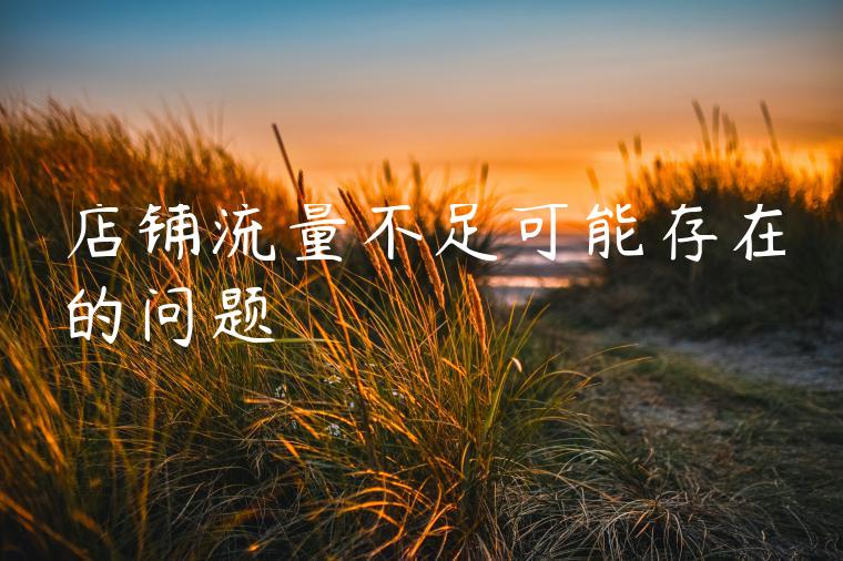 店铺流量不足可能存在的问题 店铺流量不足可能存在的问题