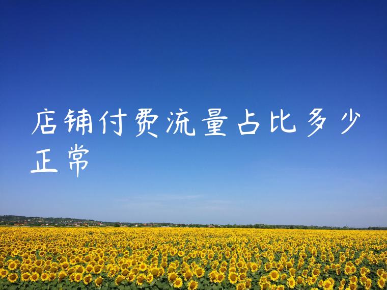 店铺付费流量占比多少正常 店铺付费流量占比多少正常