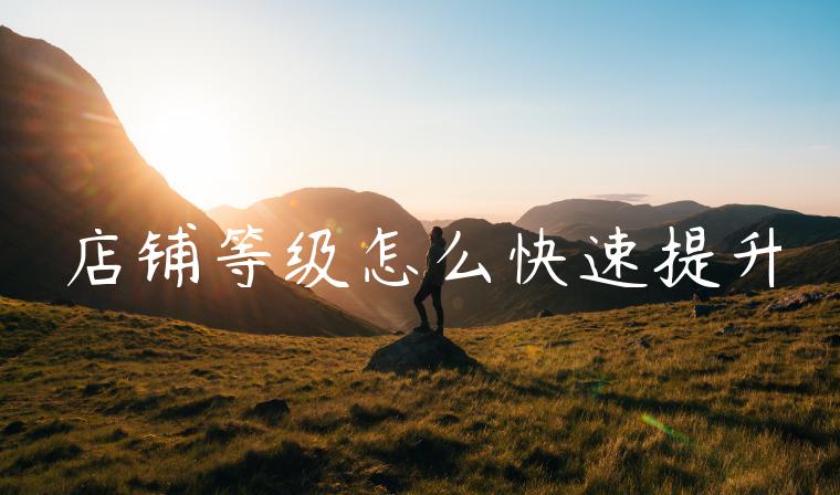 店铺等级怎么快速提升