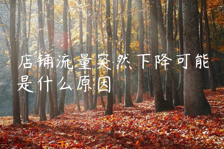 店铺流量突然下降可能是什么原因 店铺流量突然下降可能是什么原因