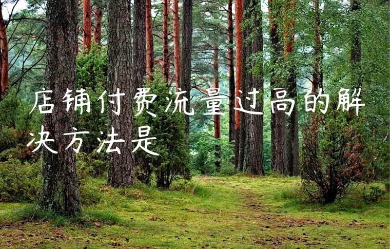 店铺付费流量过高的解决方法是
