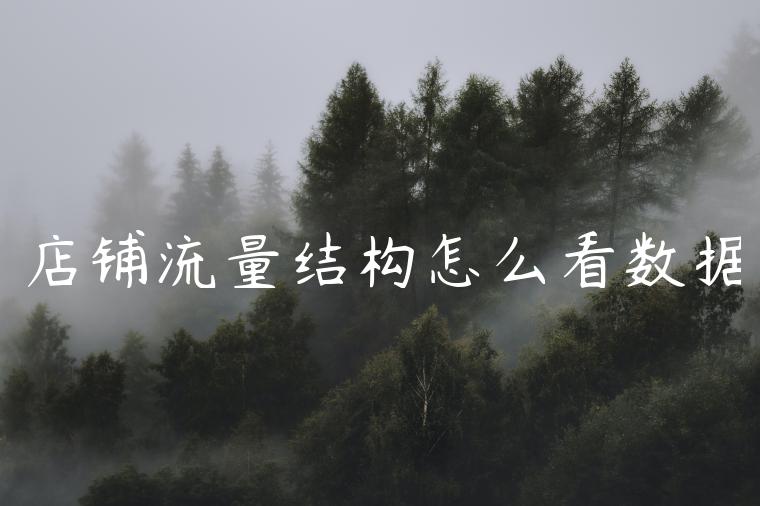 店铺流量结构怎么看数据 店铺流量结构怎么看数据