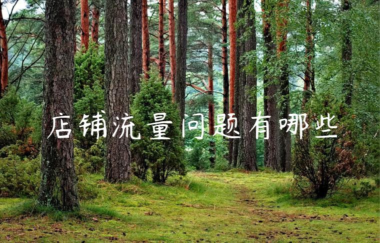 店铺流量问题有哪些