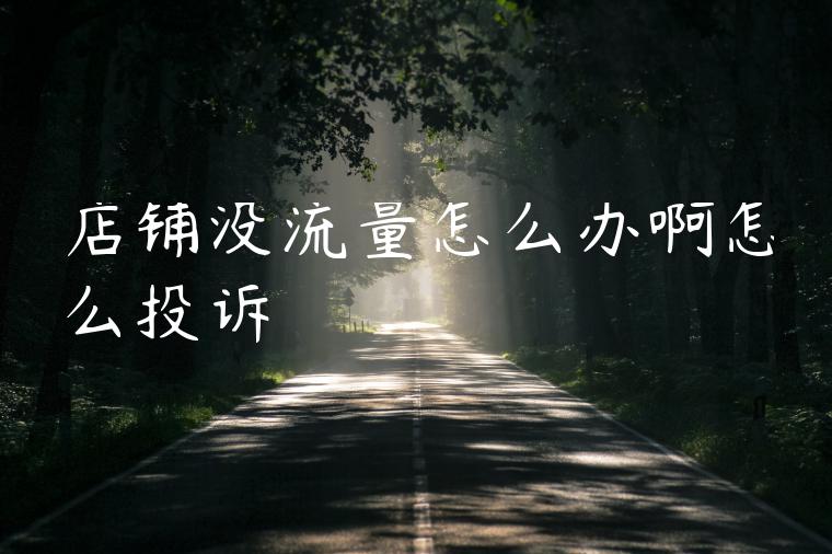 店铺没流量怎么办啊怎么投诉