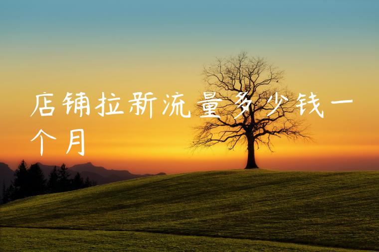 店铺拉新流量多少钱一个月