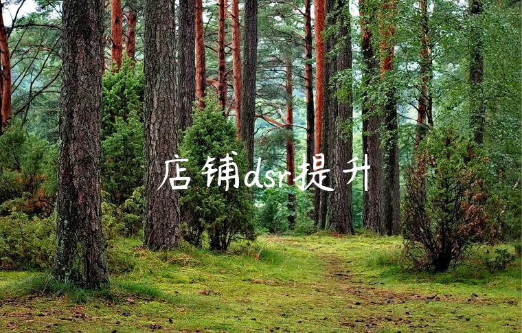 店铺dsr提升