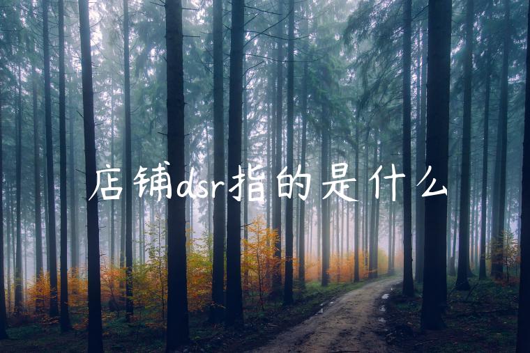 店铺dsr指的是什么 店铺dsr指的是什么