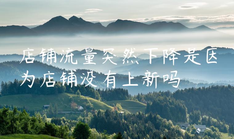 店铺流量突然下降是因为店铺没有上新吗
