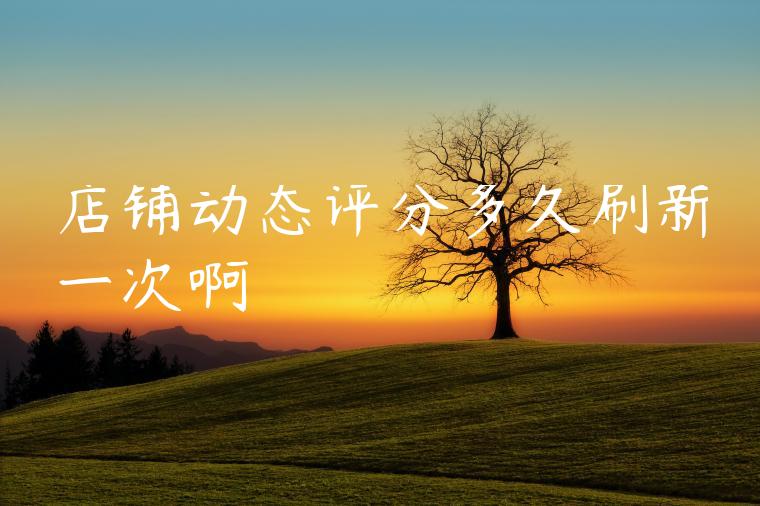 店铺动态评分多久刷新一次啊 店铺动态评分多久刷新一次啊