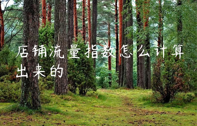 店铺流量指数怎么计算出来的 店铺流量指数怎么计算出来的