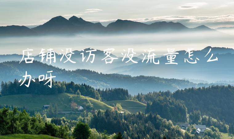 店铺没访客没流量怎么办呀