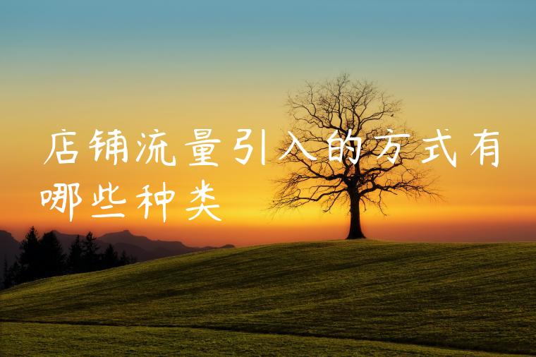 店铺流量引入的方式有哪些种类 店铺流量引入的方式有哪些种类