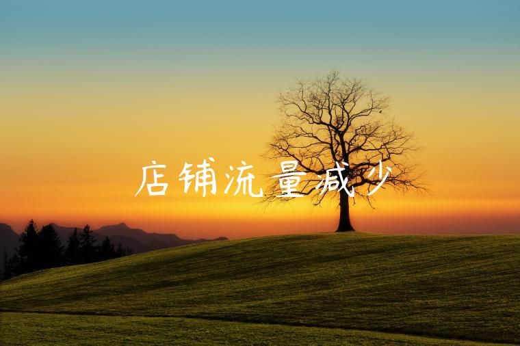 店铺流量减少