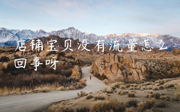 店铺宝贝没有流量怎么回事呀
