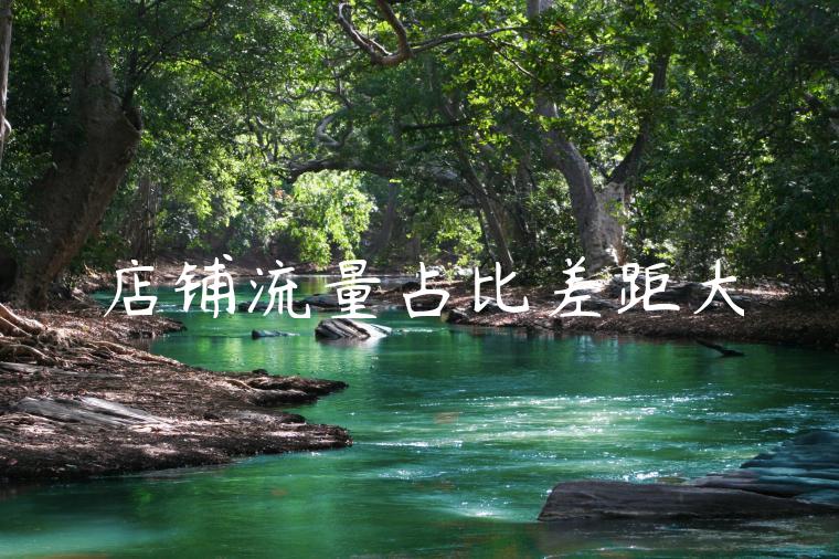 店铺流量占比差距大