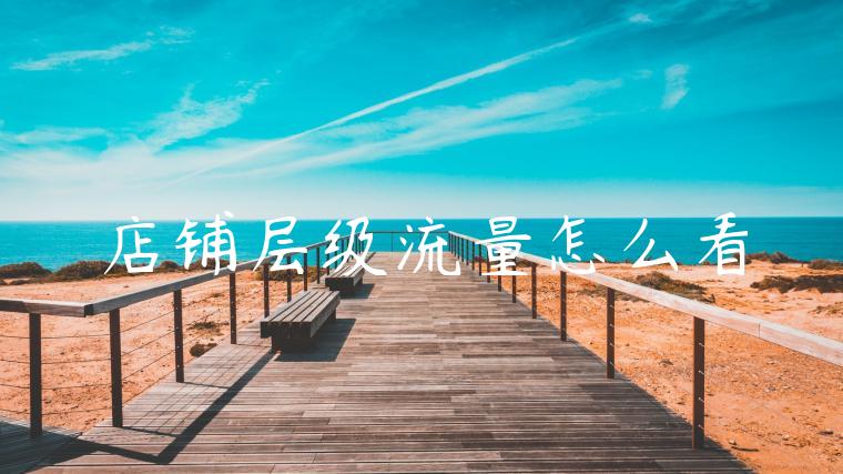 店铺层级流量怎么看