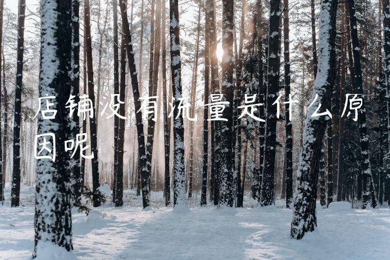 店铺没有流量是什么原因呢 店铺没有流量是什么原因呢