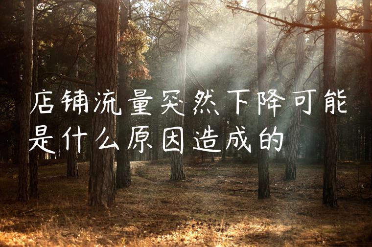 店铺流量突然下降可能是什么原因造成的 店铺流量突然下降可能是什么原因造成的