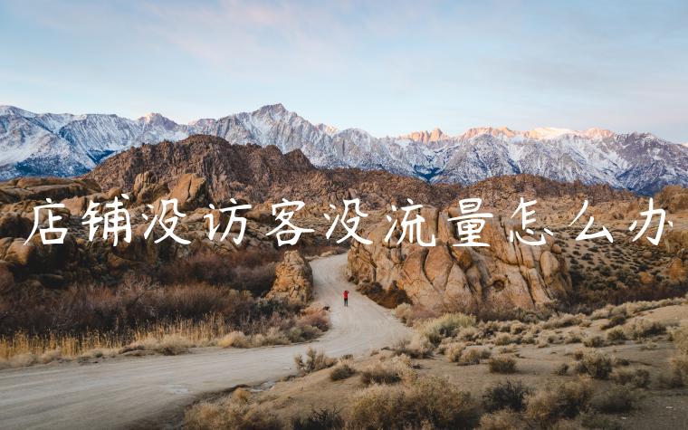 店铺没访客没流量怎么办