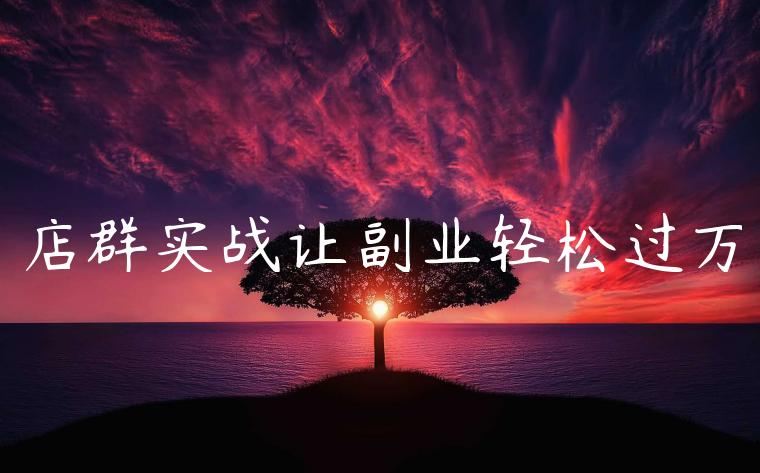 店群实战让副业轻松过万 店群实战让副业轻松过万