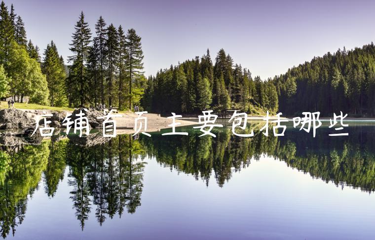 店铺首页主要包括哪些