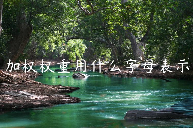 加权权重用什么字母表示 加权权重用什么字母表示