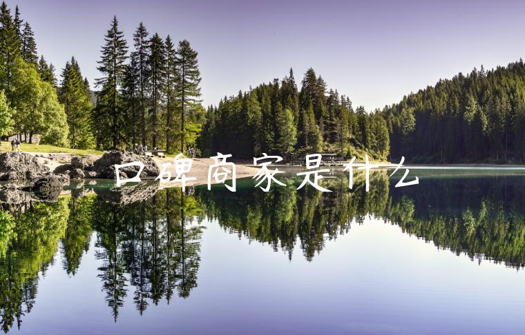 口碑商家是什么