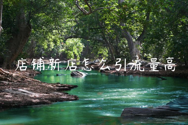 店铺新店怎么引流量高