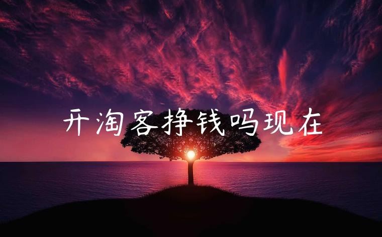 开淘客挣钱吗现在