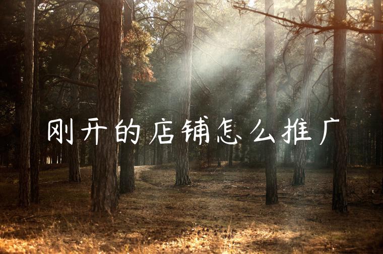 刚开的店铺怎么推广