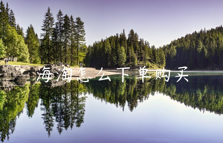 海淘怎么下单购买 海淘怎么下单购买