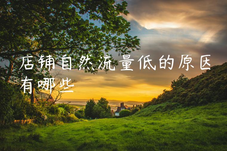 店铺自然流量低的原因有哪些 店铺自然流量低的原因有哪些