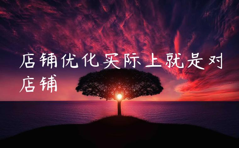 店铺优化实际上就是对店铺 店铺优化实际上就是对店铺