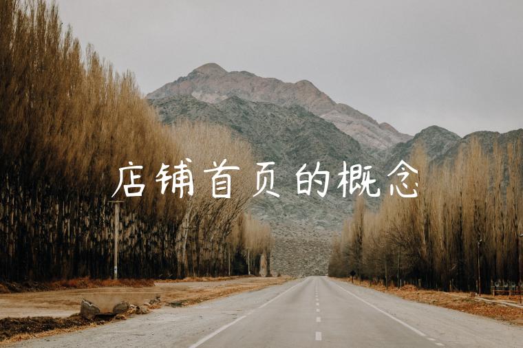 店铺首页的概念