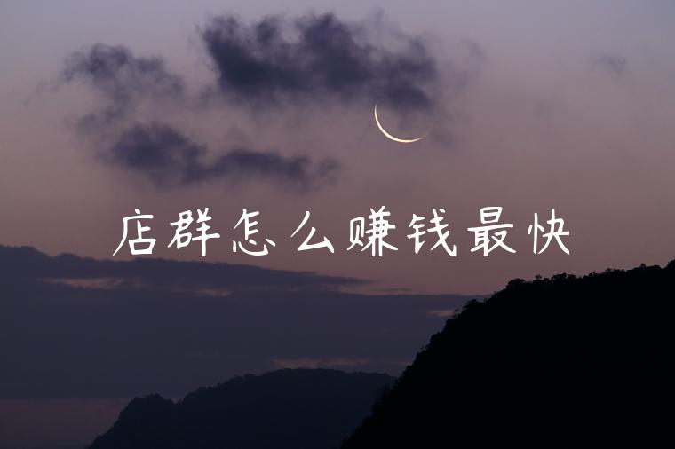 店群怎么赚钱最快