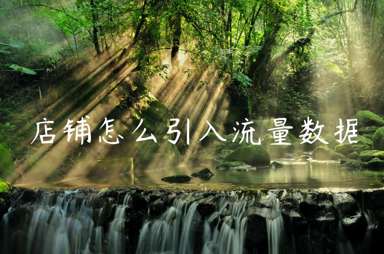 店铺怎么引入流量数据 店铺怎么引入流量数据