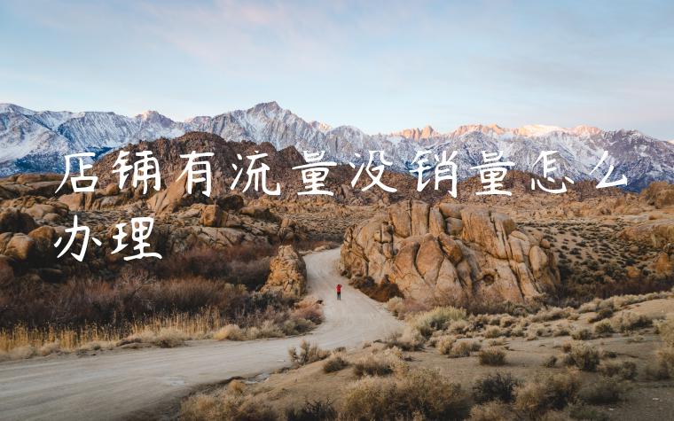 店铺有流量没销量怎么办理