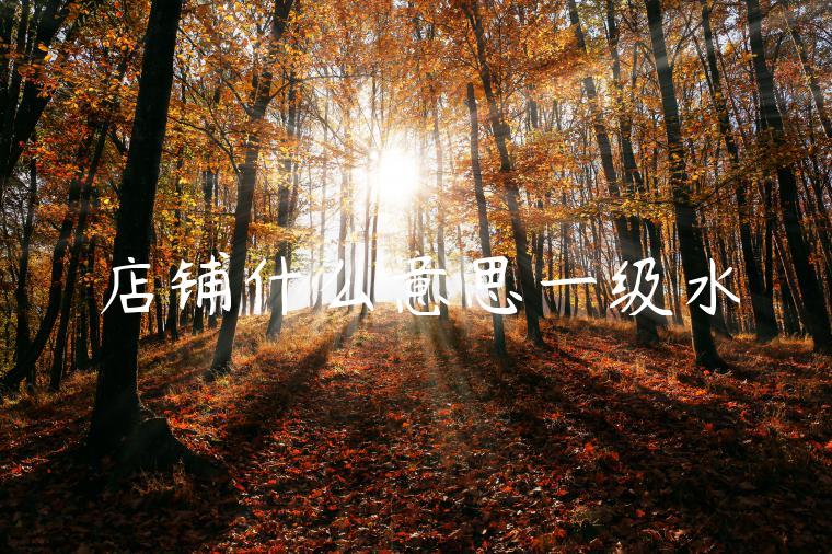 店铺什么意思一级水