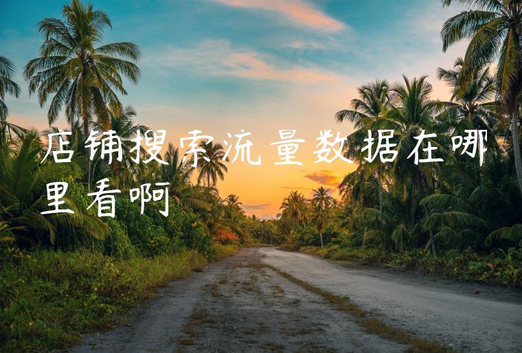 店铺搜索流量数据在哪里看啊