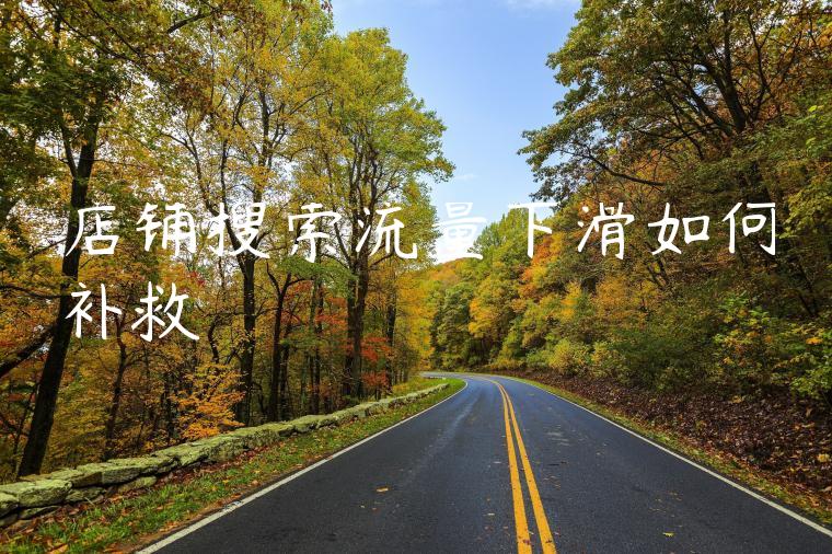 店铺搜索流量下滑如何补救