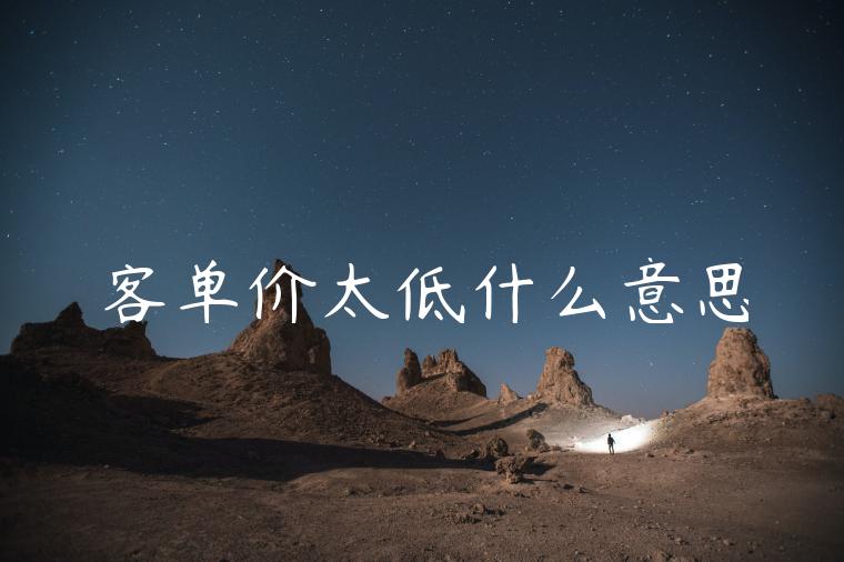 客单价太低什么意思