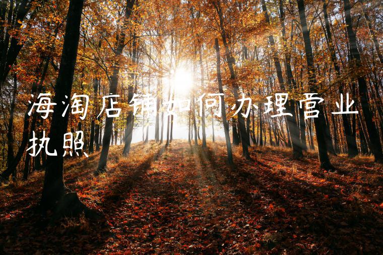 海淘店铺如何办理营业执照