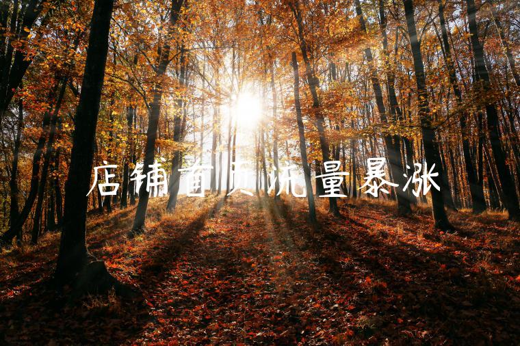 店铺首页流量暴涨